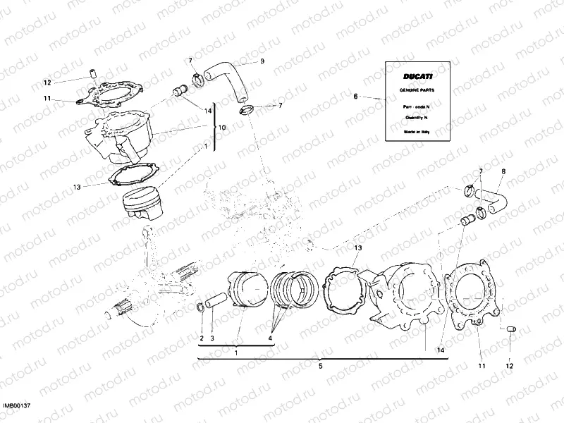 CYLINDER - PISTON » ENGINE CASE