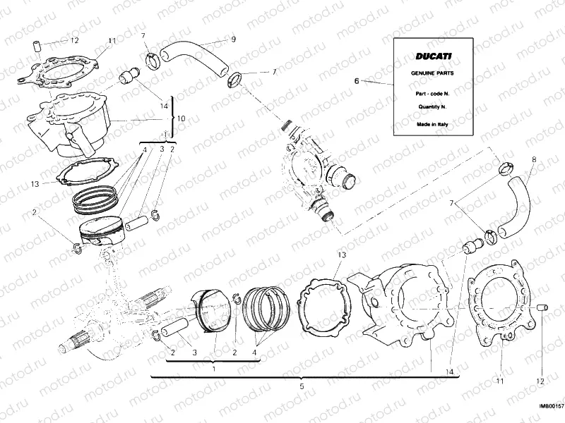 CYLINDER - PISTON » ENGINE CASE