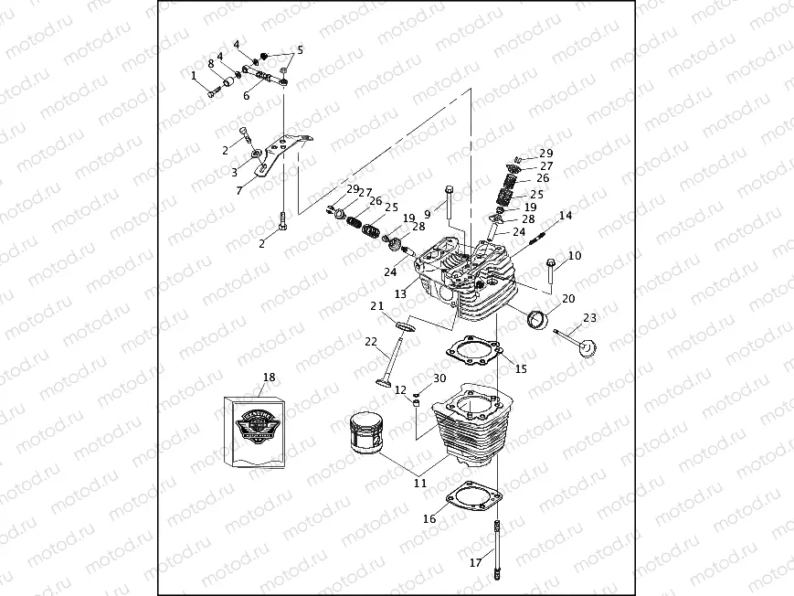 CYLINDERS, VALVES & HEADS - VÂ²â¢ EVOLUTION