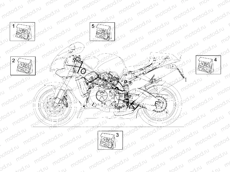 Decal