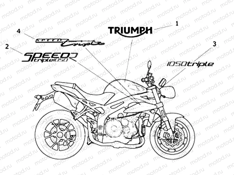 Decals 657553