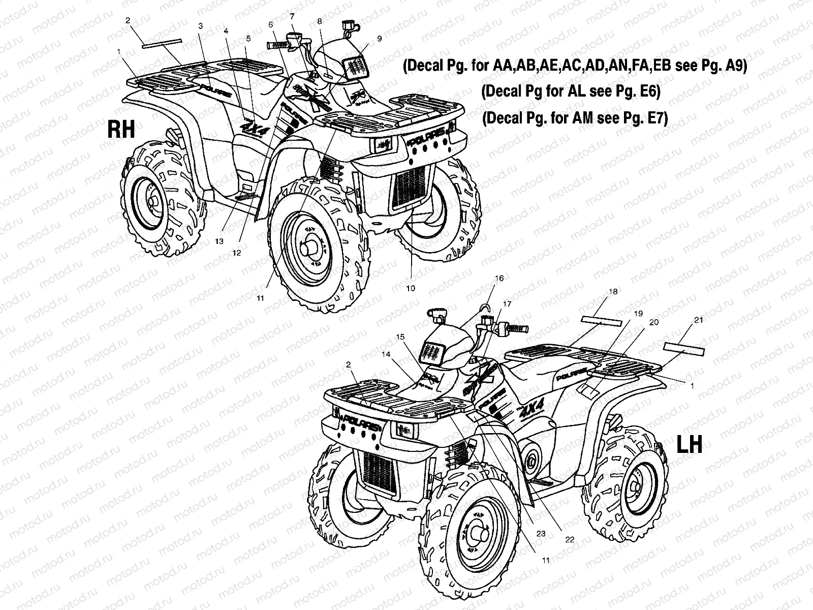 DECALS - A02CH50AJ (4967436743E05) | DECALS - A02CH50AJ (4967436743E05)
