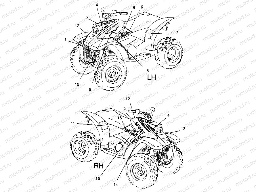 DECALS Sport 400L W958540 (4930133013A008) | DECALS Sport 400L W958540 (4930133013A008)
