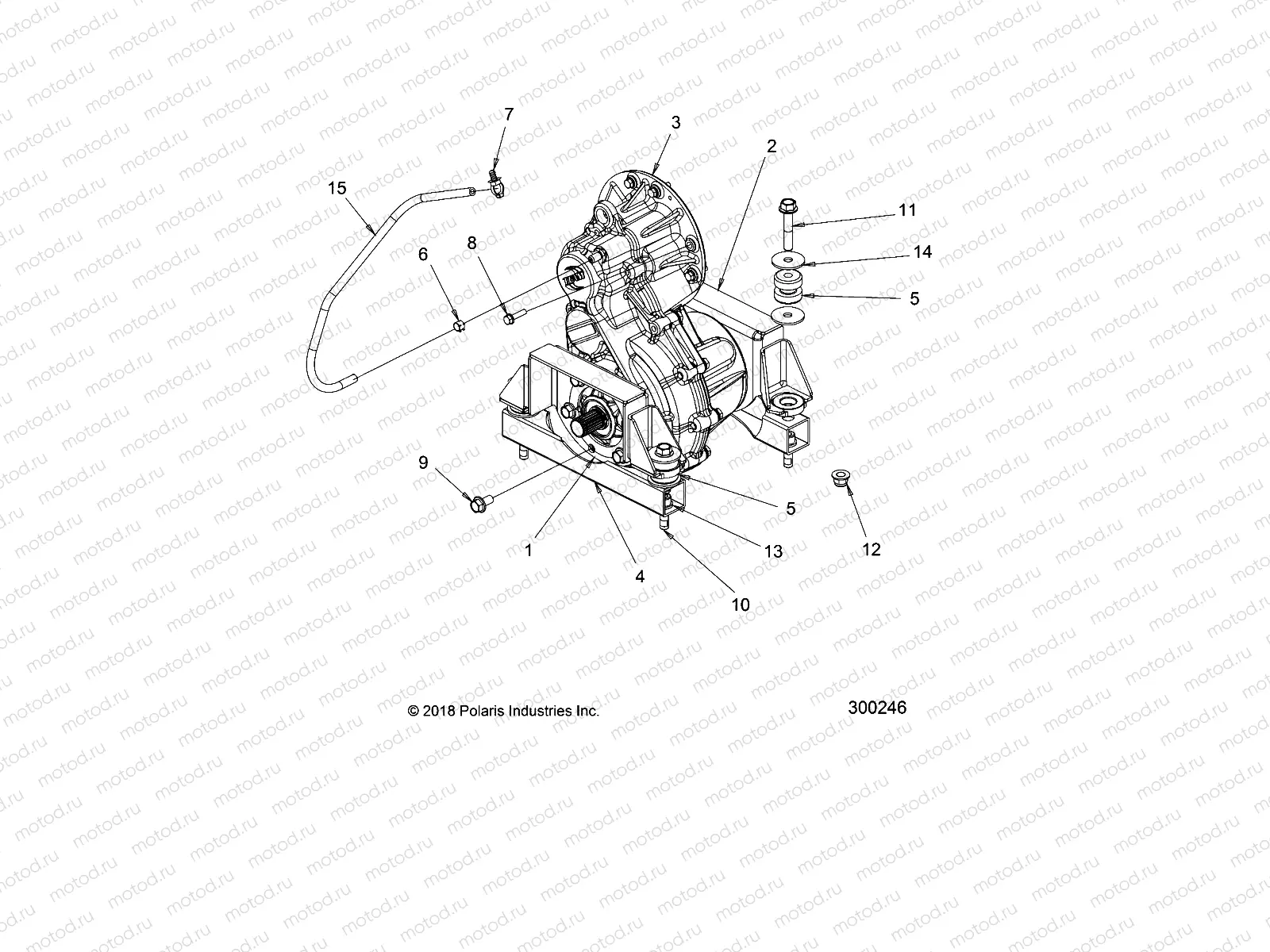 DRIVE LINE | DRIVE LINE, GEARCASE and MOUNTING - L19G2/4/6 ALL OPTIONS