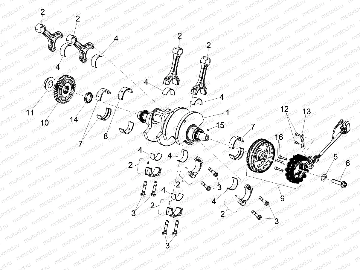 Drive shaft