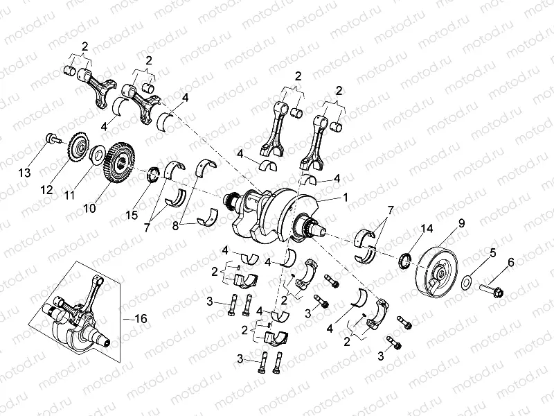 Drive shaft