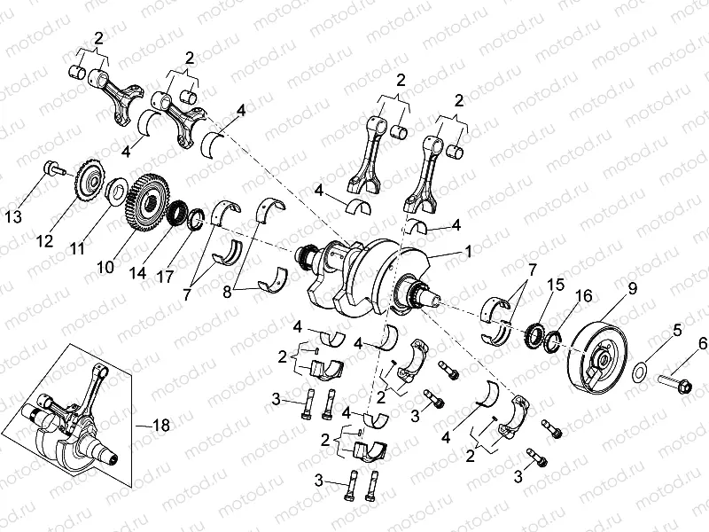 Drive shaft