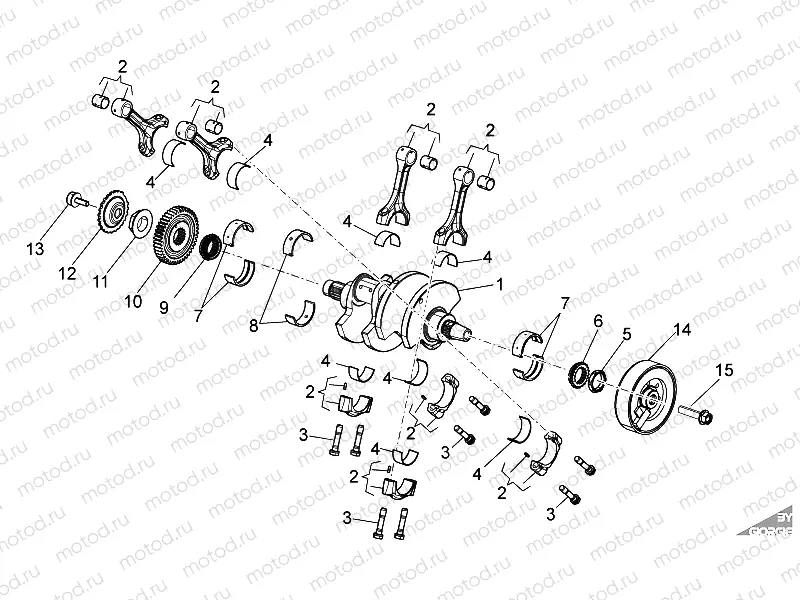Drive shaft