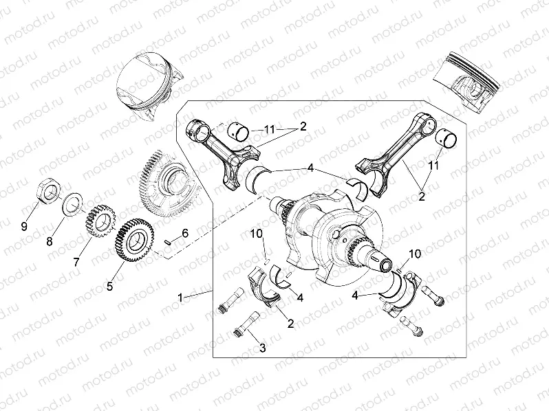 Drive shaft