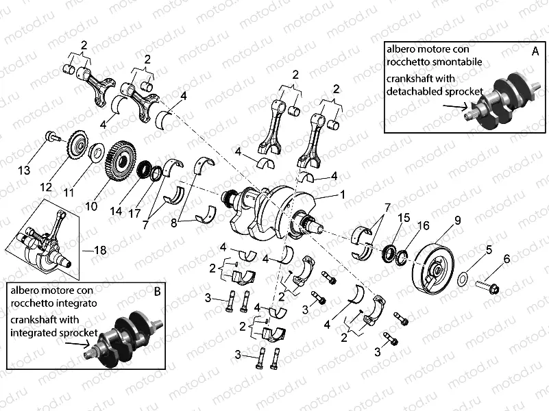 Drive shaft
