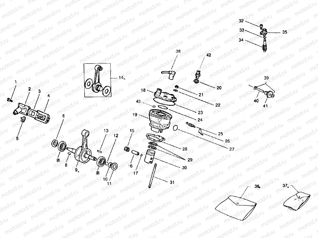 Drive shaft - Cylinder