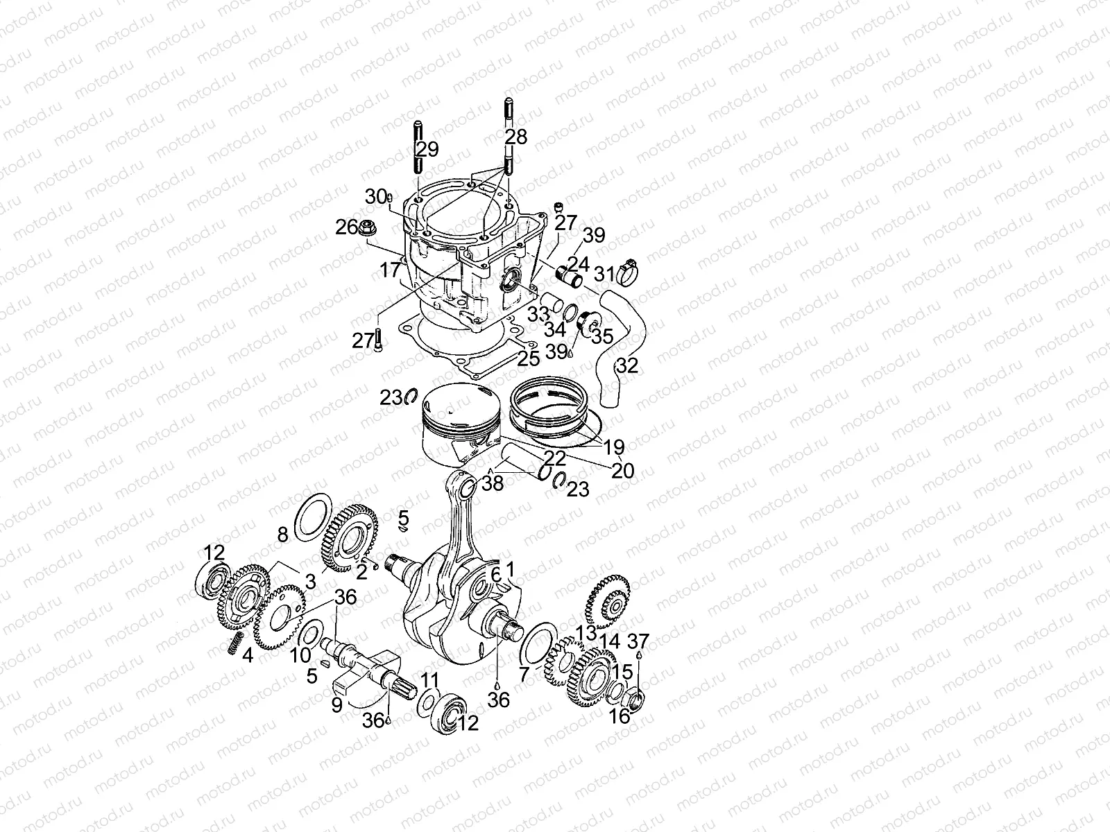 Drive shaft - Cylinder