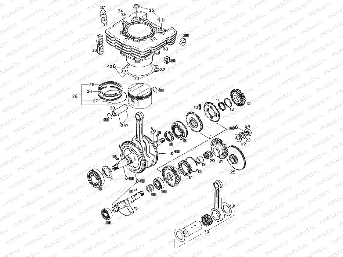 Drive shaft - Cylinder