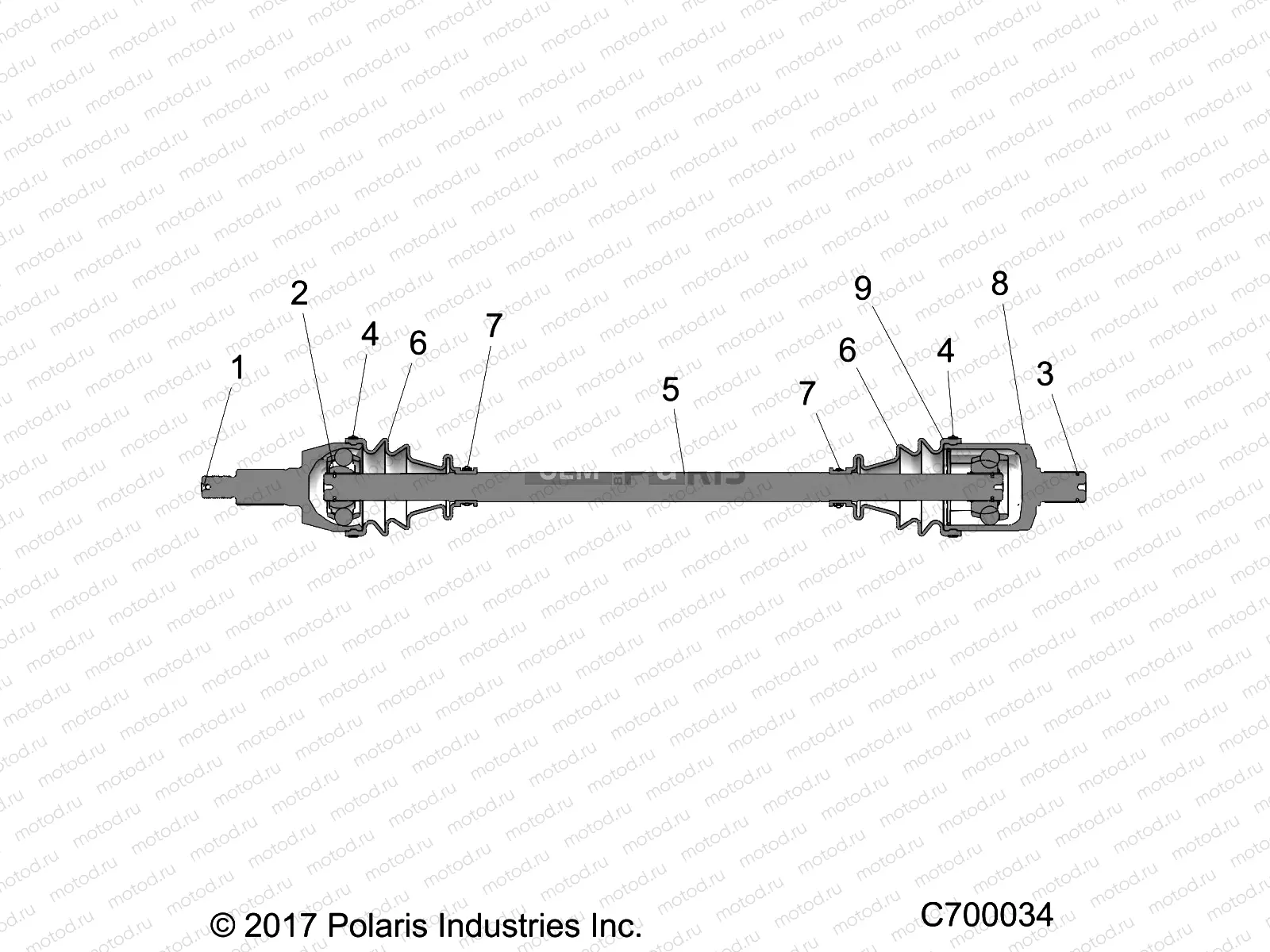 DRIVE TRAIN | DRIVE TRAIN, FRONT HALF SHAFT - R19RRE99F1/FC/SC1/SJ1/SCC/SFC/F1 (C700034)
