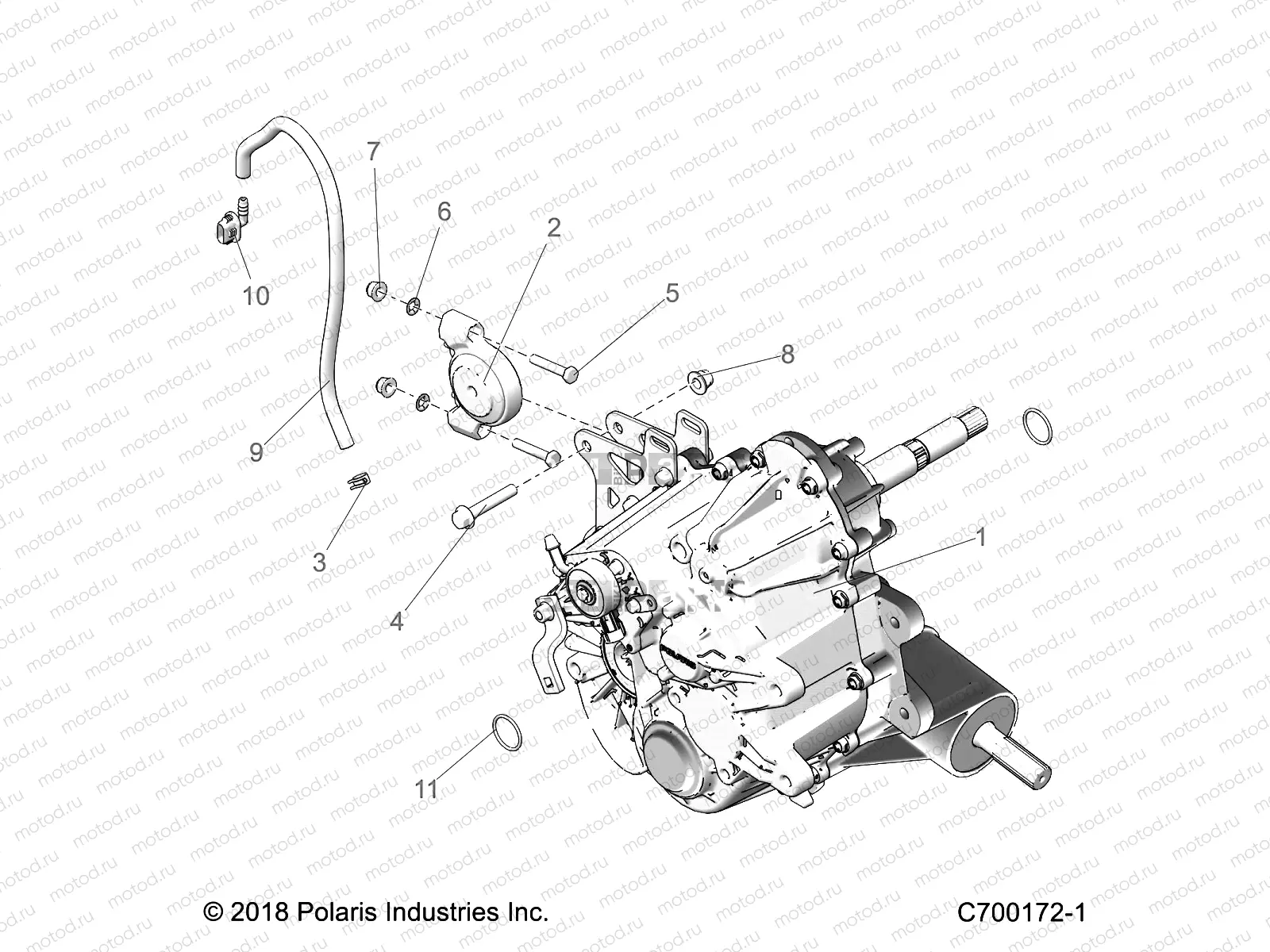 DRIVE TRAIN | DRIVE TRAIN, MAIN GEARCASE MOUNTING - G21G4D99AW/BW (C700172-1)