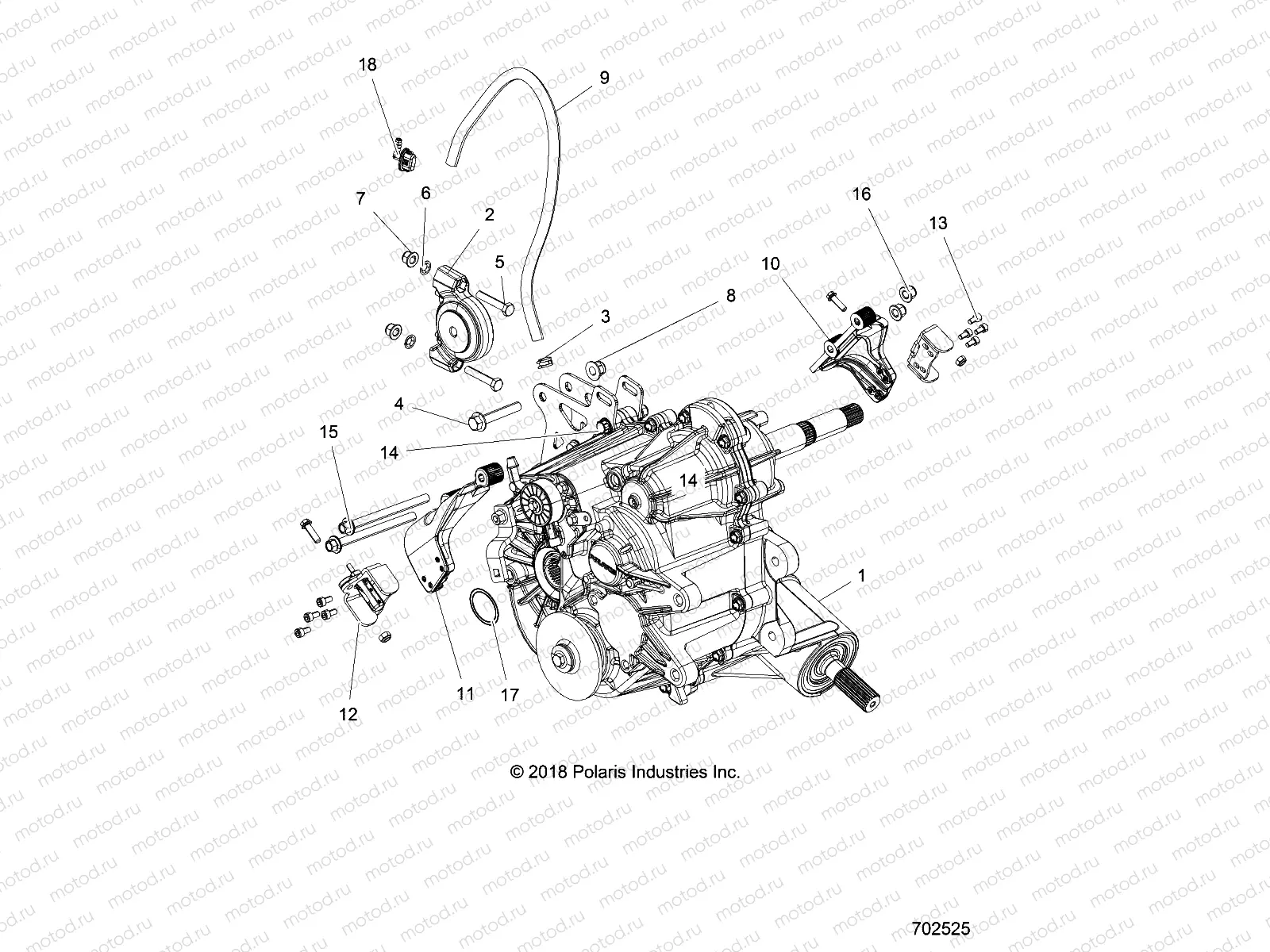 DRIVE TRAIN | DRIVE TRAIN, MAIN GEARCASE MOUNTING - R19RGE99F2/FF/SC2/SFF/PCF/PFF (702525)
