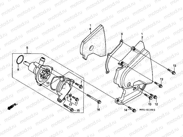 E-11 LEFT REAR COVER/WATER PUMP