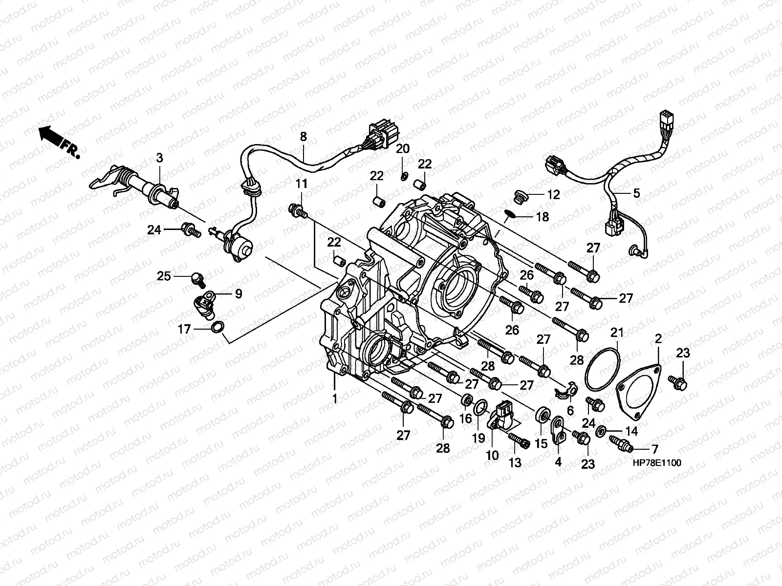 E-11 REAR CRANKCASE COVER
