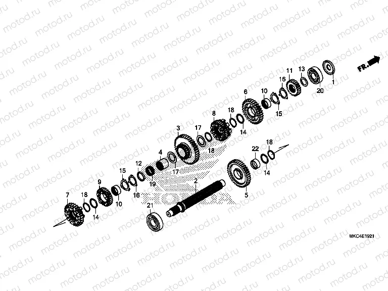 E-19-21 TRANSMISSION (COUNTERSHAFT) (DCT)