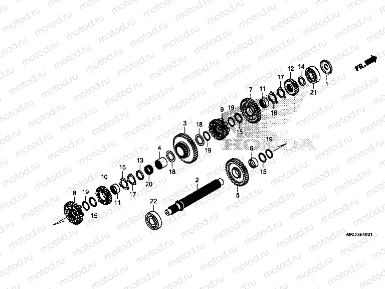E-19-21 TRANSMISSION (COUNTERSHAFT) (DCT)