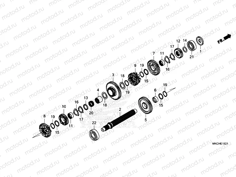 E-19-21 TRANSMISSION (COUNTERSHAFT) (DCT)