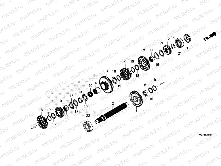 E-19-21 TRANSMISSION (COUNTERSHAFT) (DCT)