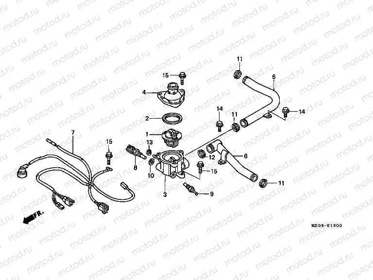 E-19 WATER PIPE / THERMOSTAT