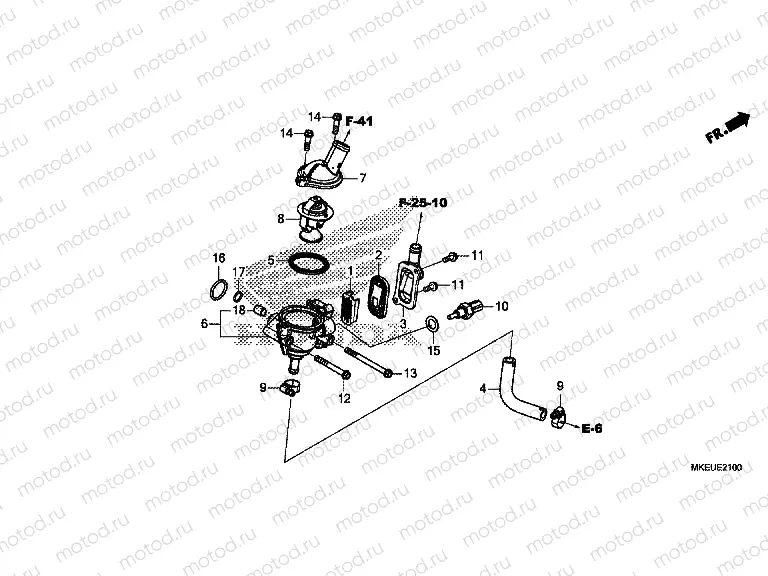 E-21 THERMOSTAT/HOSE