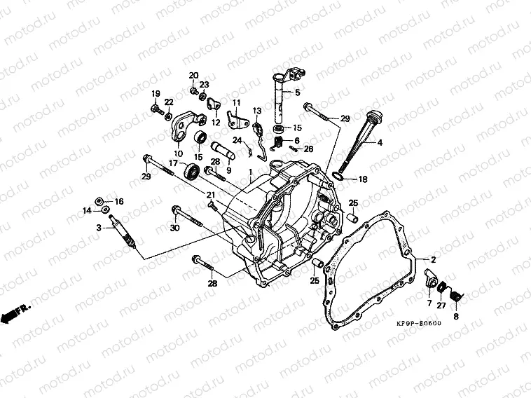 E-5 RIGHT CRANKSHAFT COVER