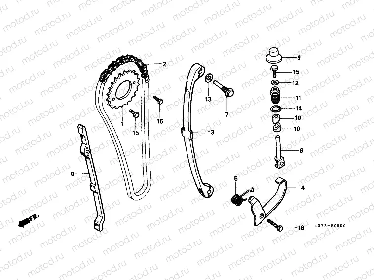 E-5 TIMING CHAIN ​​/ TENSIONER