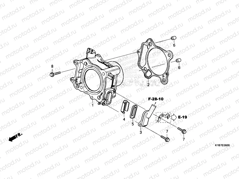 E-6 CYLINDER & REED VALVE