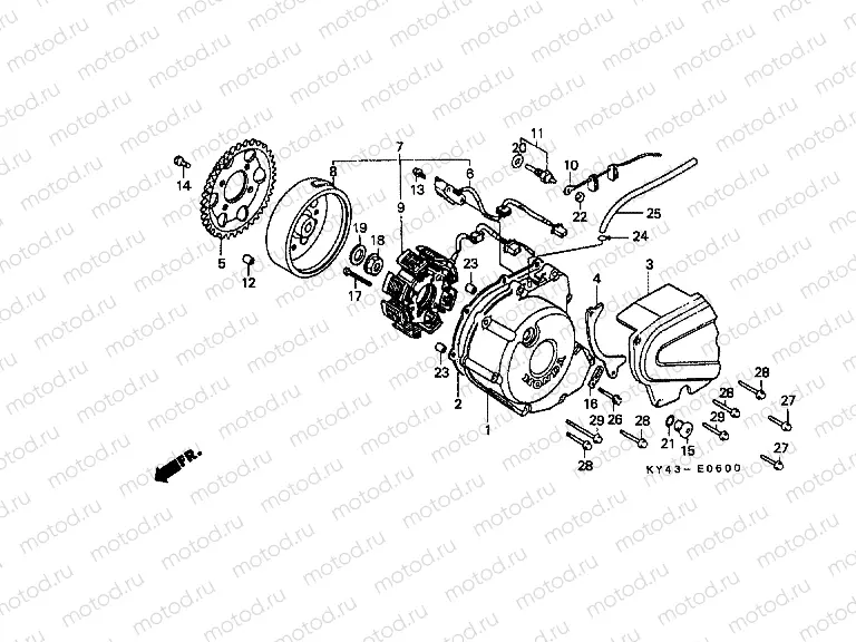 E-6 LEFT CRANKSHAFT COVER / GENERATOR