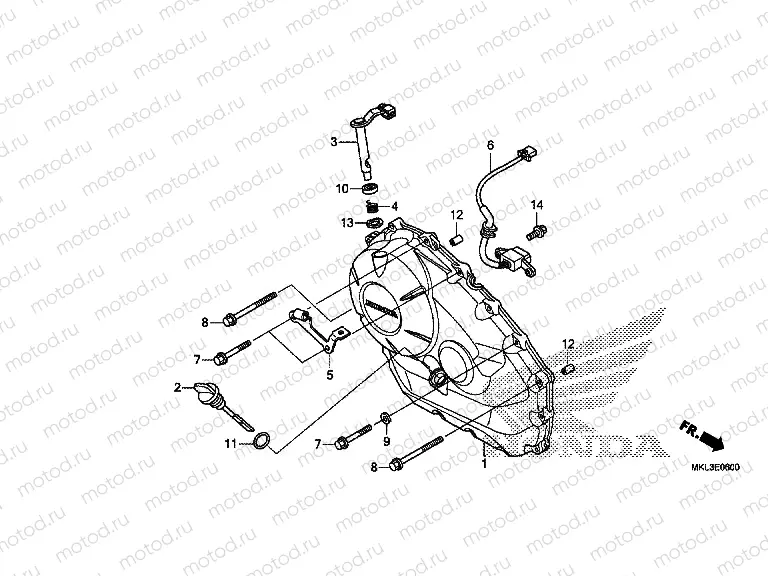 E-6 RIGHT CRANKCASE COVER