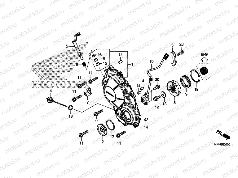E-6 RIGHT CRANKCASE COVER