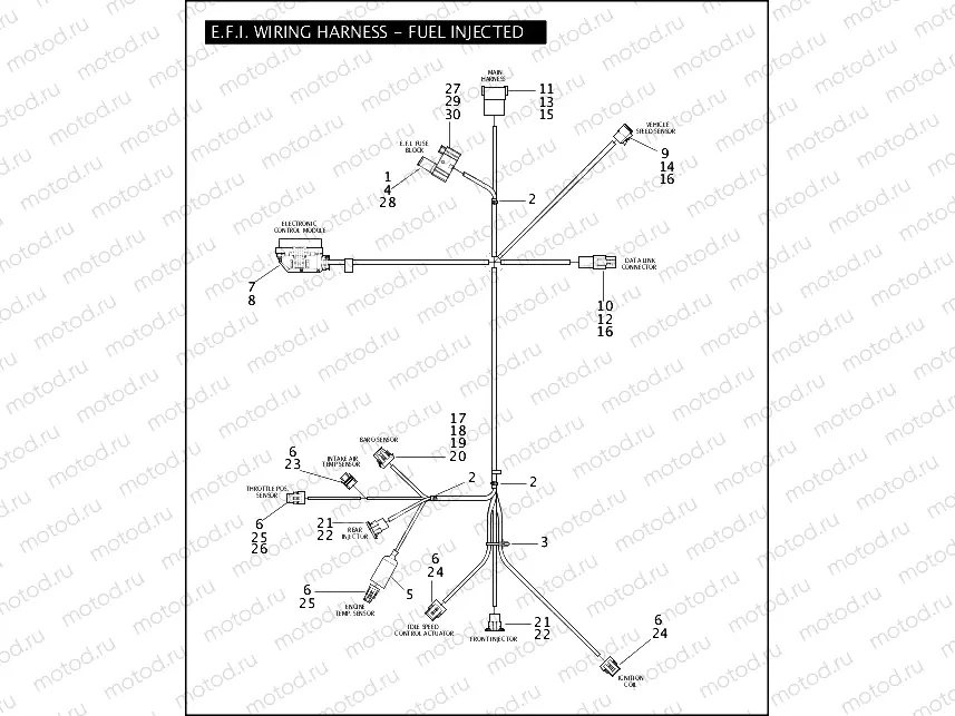 E.F.I. WIRING HARNESS - FUEL INJECTED