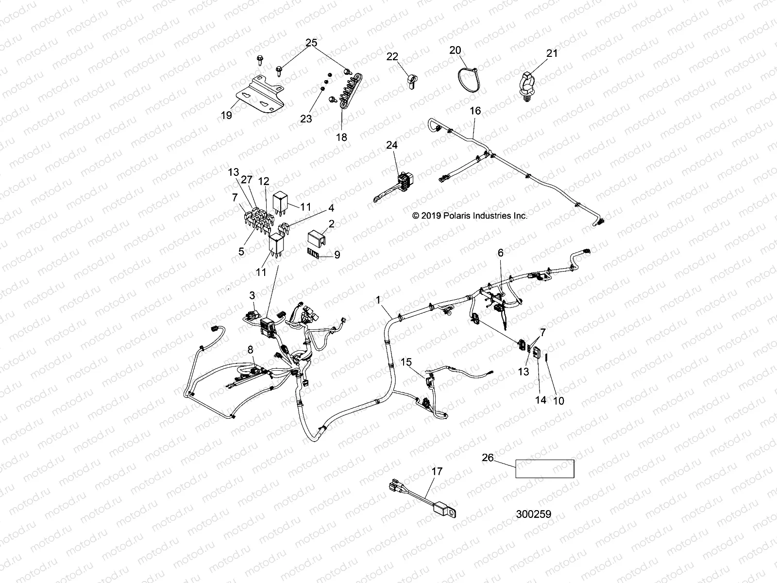 ELECTRICAL | ELECTRICAL, CHASSIS WIRE HARNESS - L19U2NAFLA (300259)