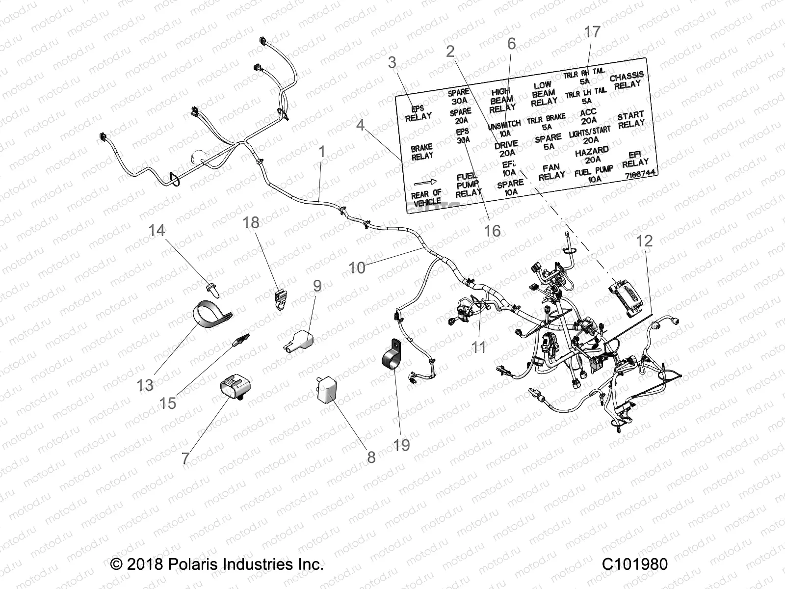ELECTRICAL | ELECTRICAL, HARNESS - A19S6E57F1/FL