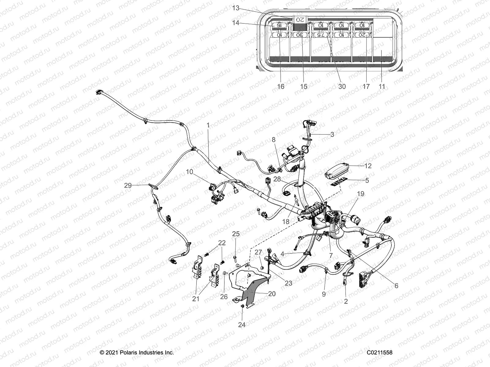 ELECTRICAL | ELECTRICAL, MAIN WIRE HARNESS - A22SEG50A1/A5 (C0211558)