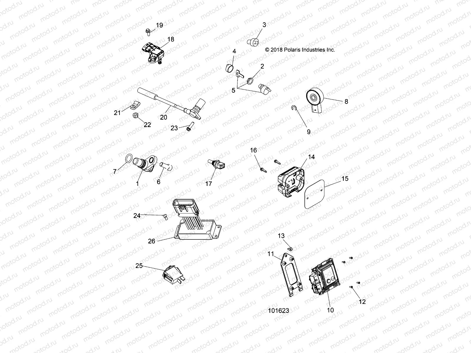 ELECTRICAL | ELECTRICAL, SWITCHES, SENSORS and ECM - A19SHS57PS