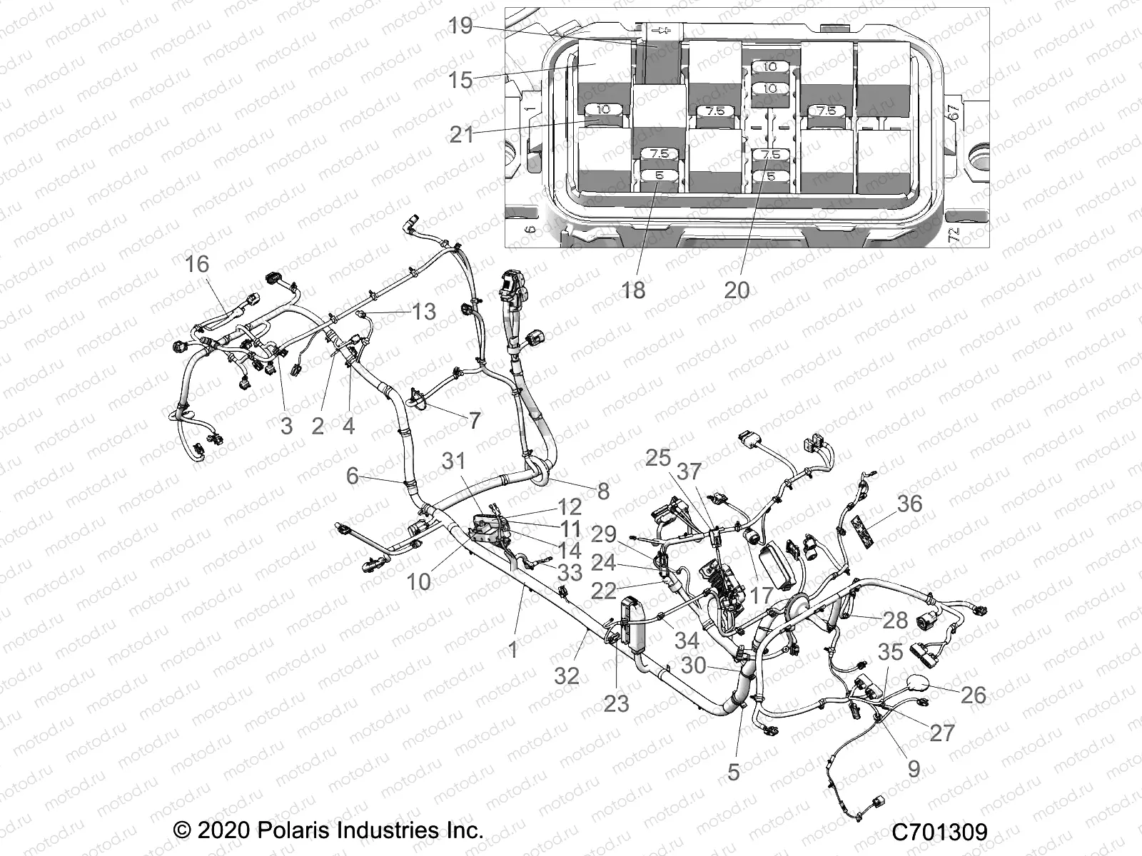 ELECTRICAL | ELECTRICAL, WIRE HARNESS, CHASSIS - Z21RAD92AC/AM/BC/BM (C701309)