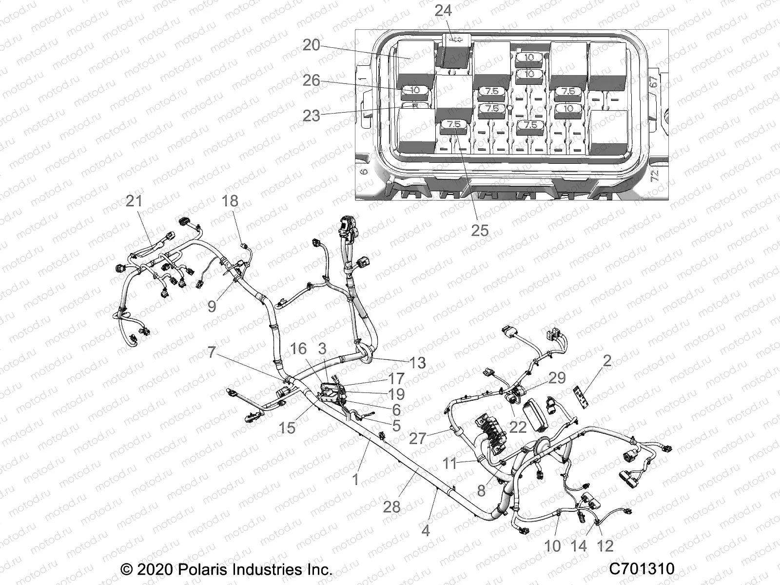 ELECTRICAL | ELECTRICAL, WIRE HARNESS, CHASSIS - Z21RAE92AG/AS/BG/BS (C701310)