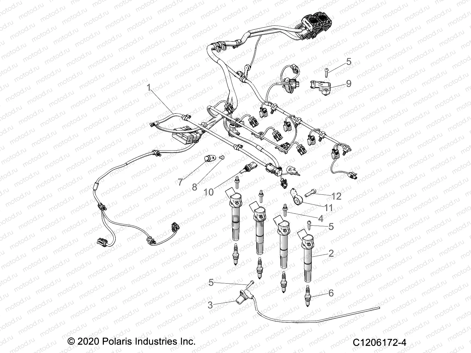 ELECTRICAL | ELECTRICAL, WIRE HARNESS, ENGINE - Z22RML2KAL/AP/BK/BL/BP/BT (C1206172-4)