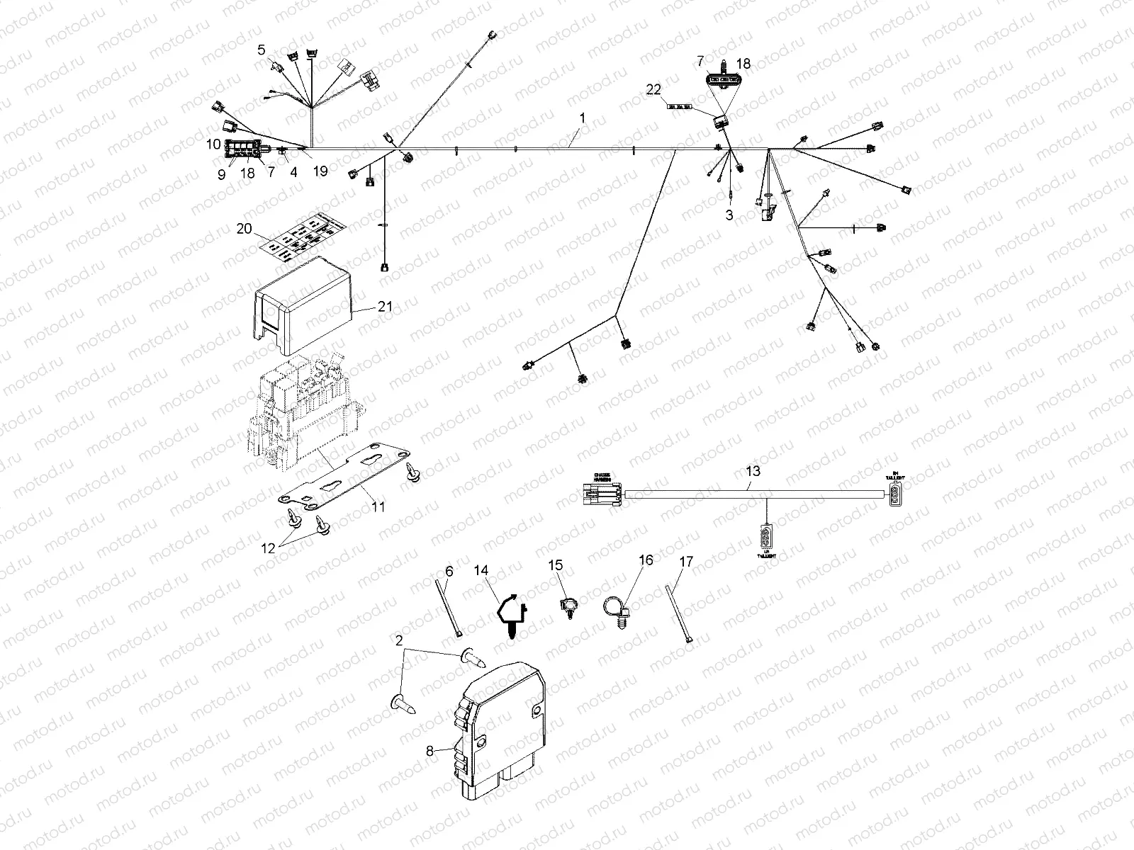 ELECTRICAL | ELECTRICAL, WIRE HARNESS, EPS - R11VH76/VY76 ALL OPTIONS (49RGRHARNESS11RZREPS)