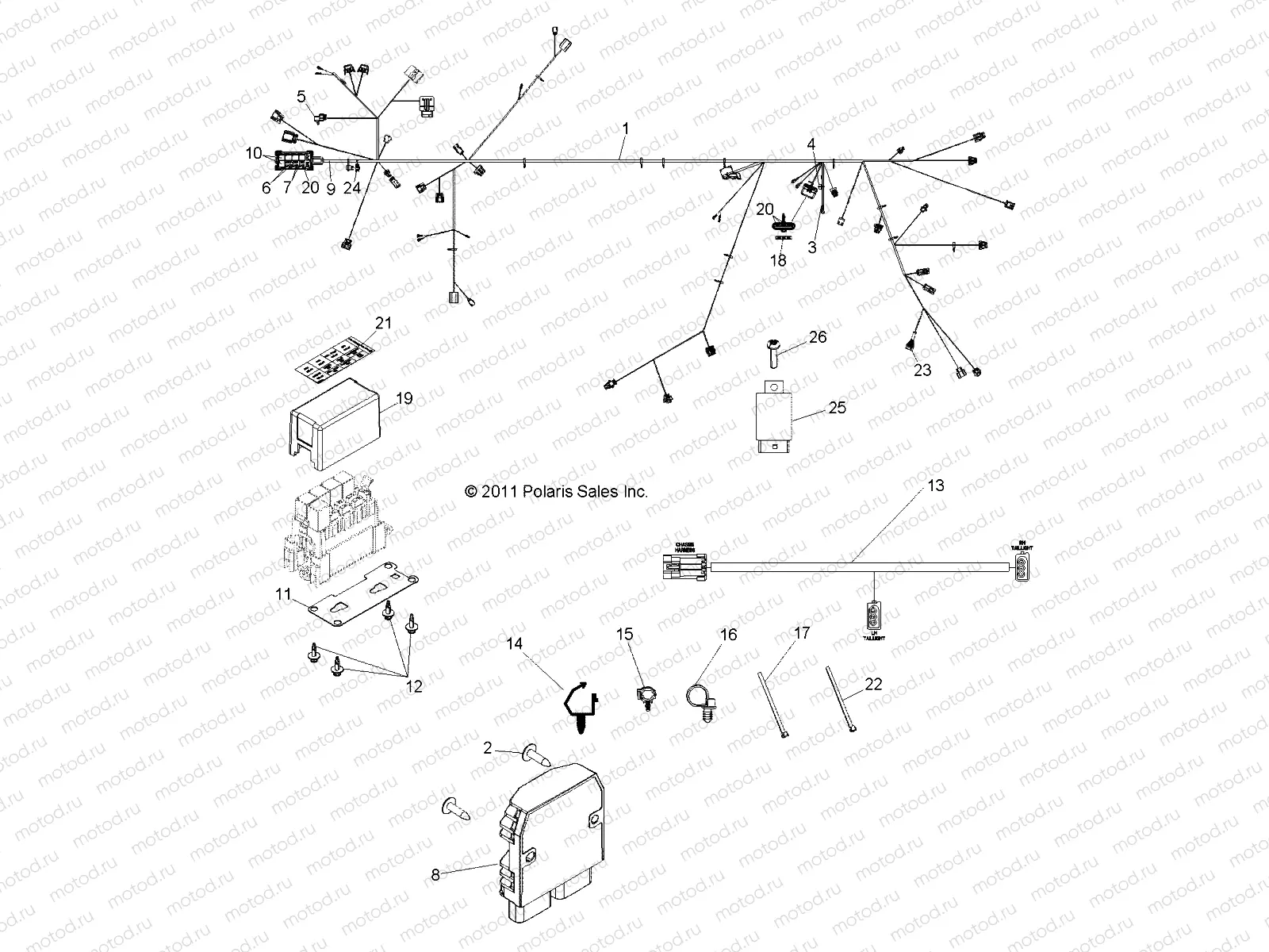 ELECTRICAL | ELECTRICAL, WIRE HARNESS - R11XY76FX (49RGRHARNESS11RZR4I)