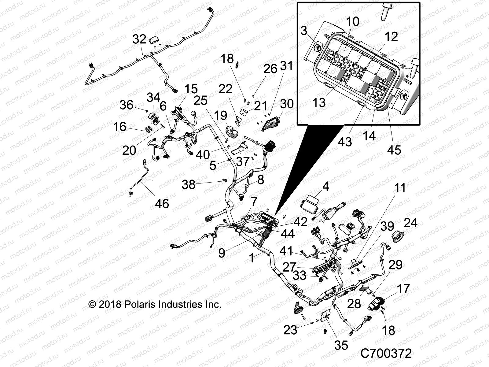 ELECTRICAL | ELECTRICAL, WIRE HARNESS - R19RRP99CC/FC (C700372)