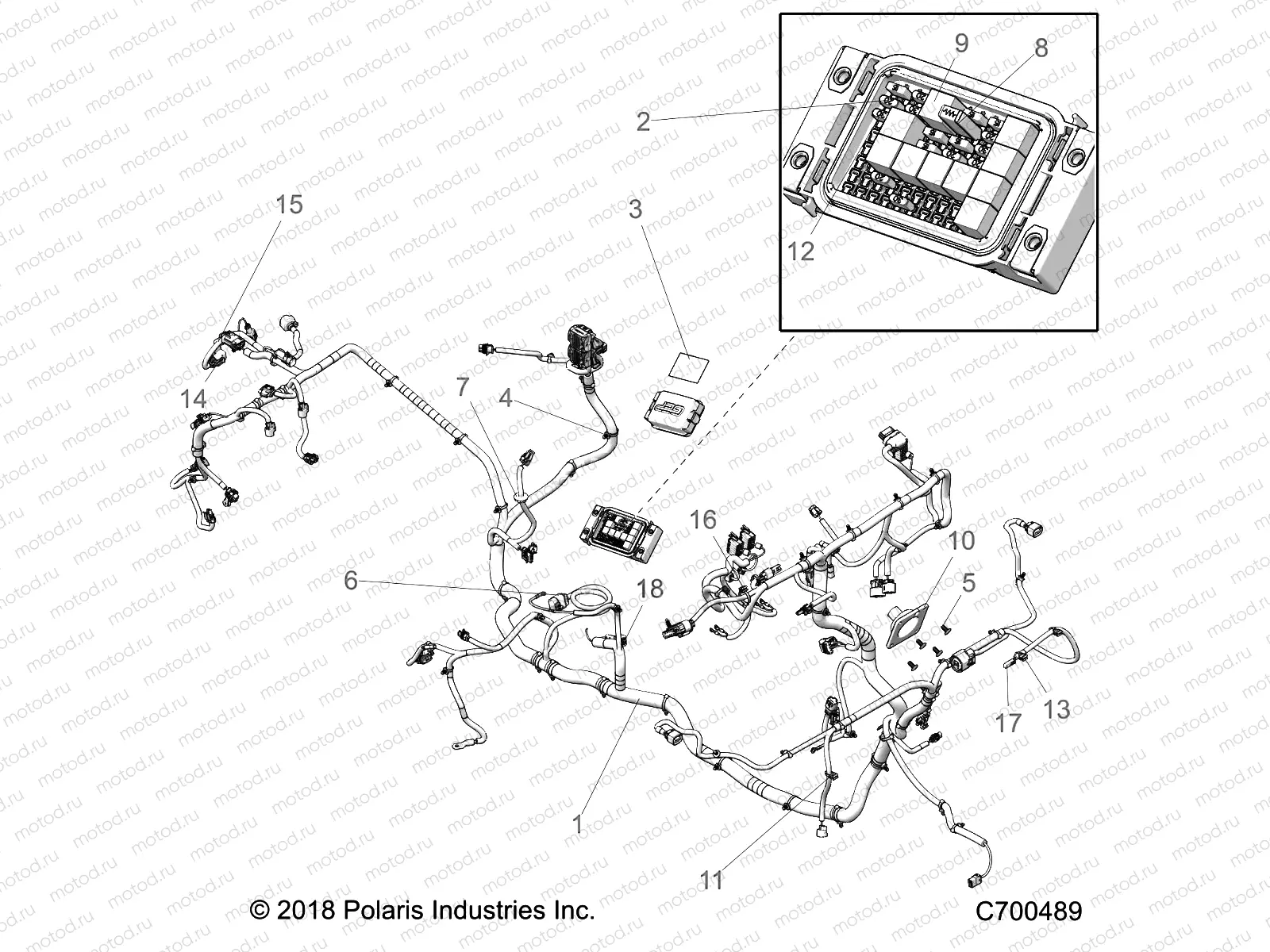 ELECTRICAL | ELECTRICAL, WIRE HARNESS - R19RRU99/A/B (C700489)