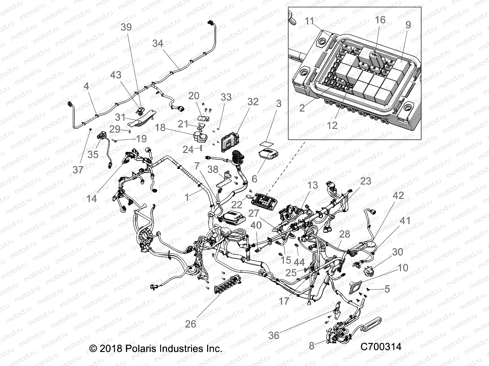 ELECTRICAL | ELECTRICAL, WIRE HARNESS - R19RRW99A9/AD/AJ/AP/B9/BD/BJ/BP (C700314)