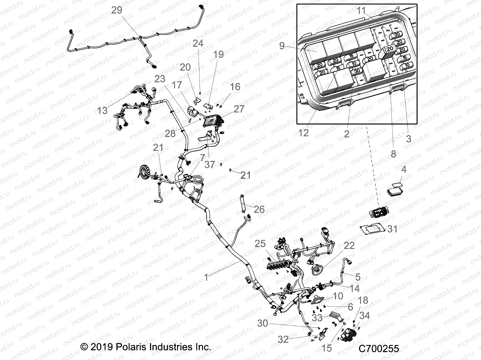 ELECTRICAL | ELECTRICAL, WIRE HARNESS - R19RSM99AL (C700255)