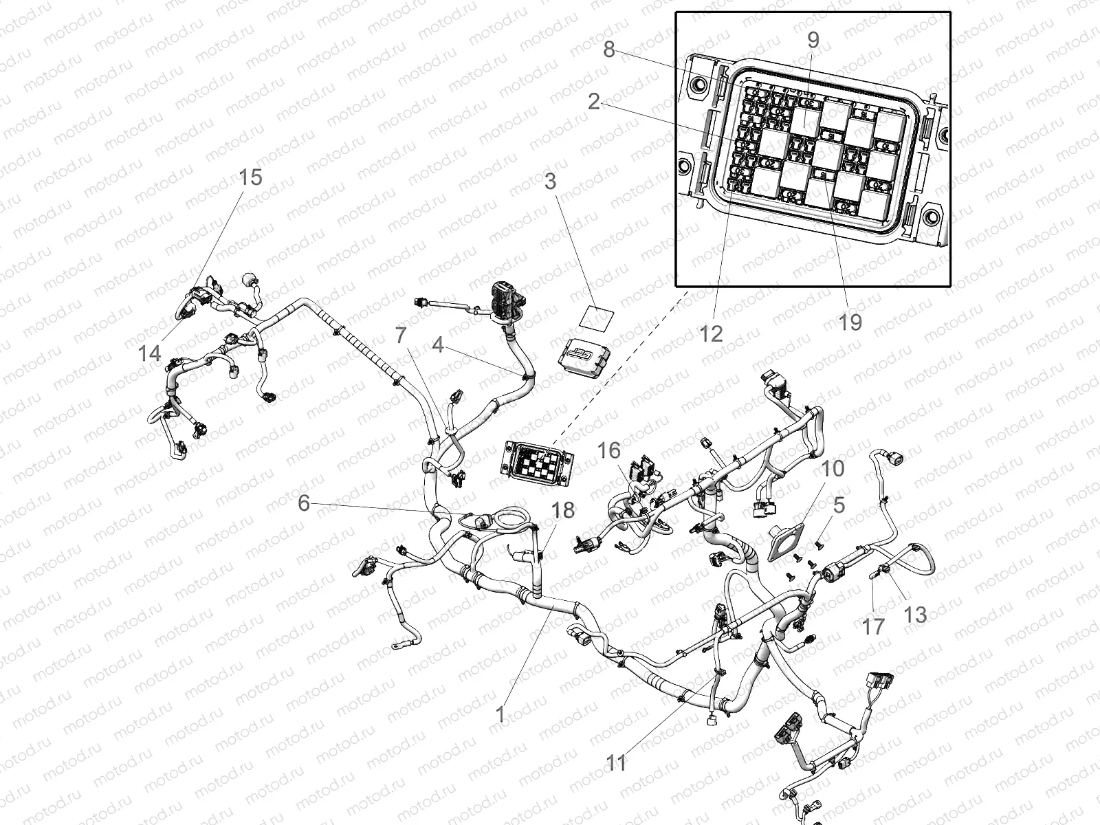 ELECTRICAL | ELECTRICAL, WIRE HARNESS - R20RRR99A/B (C700851)
