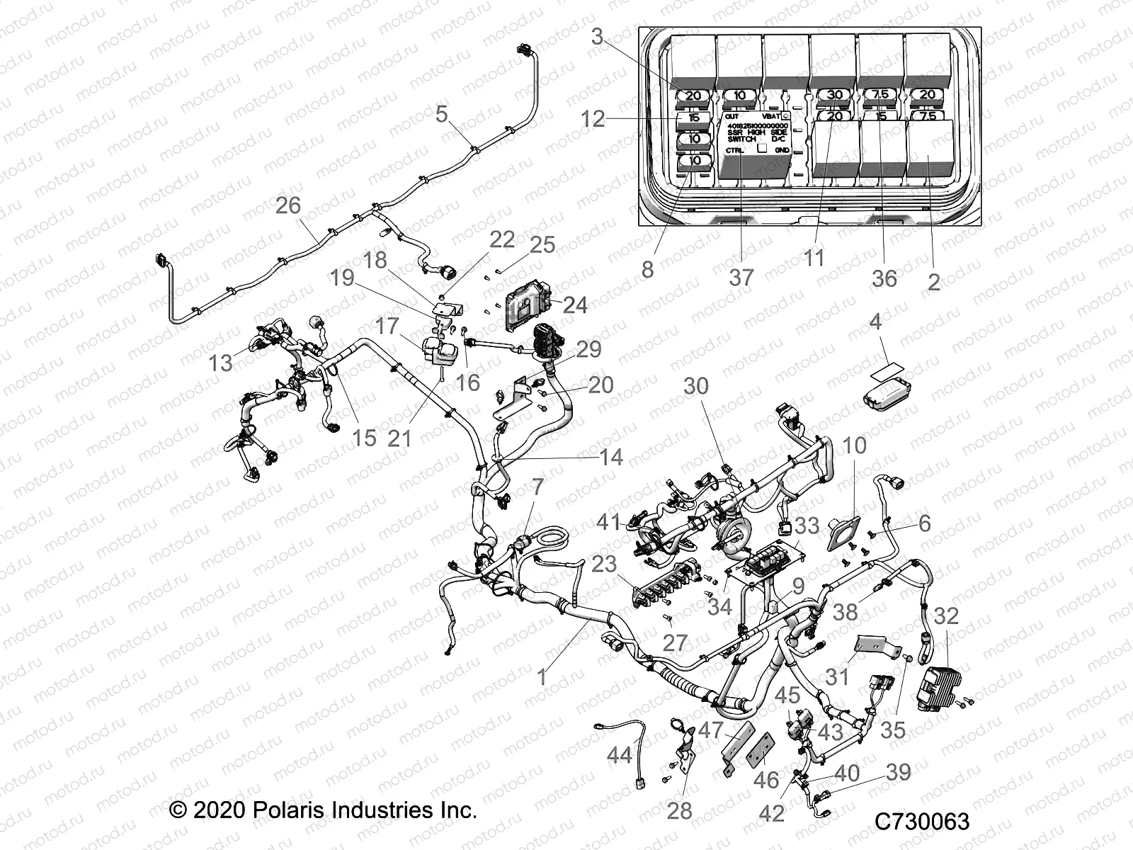 ELECTRICAL | ELECTRICAL, WIRE HARNESS - R21RRM99AG (C730063)